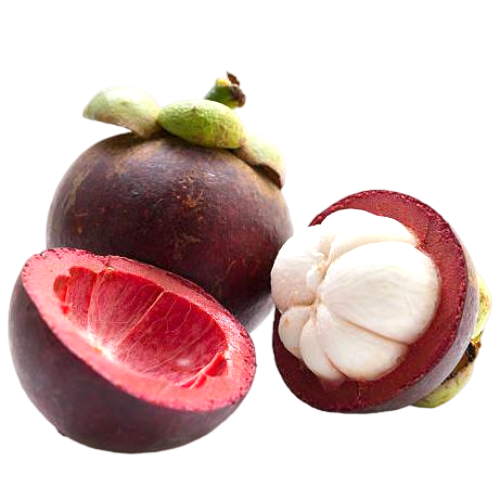 MANGOSTEEN