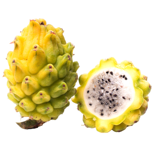 DRAGON FRUIT